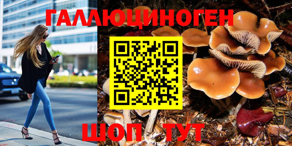 Санкт-Петербург  Псилоцибиновые грибы Psilocybine cubensis  Галлюциногенные грибы MAGIC MUSHROOMS  Вход с VPN 