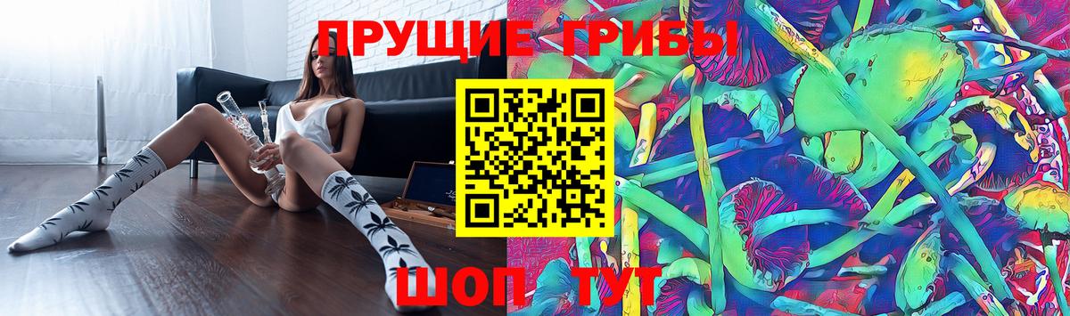 Галлюциногенные грибы мицелий Санкт-Петербург