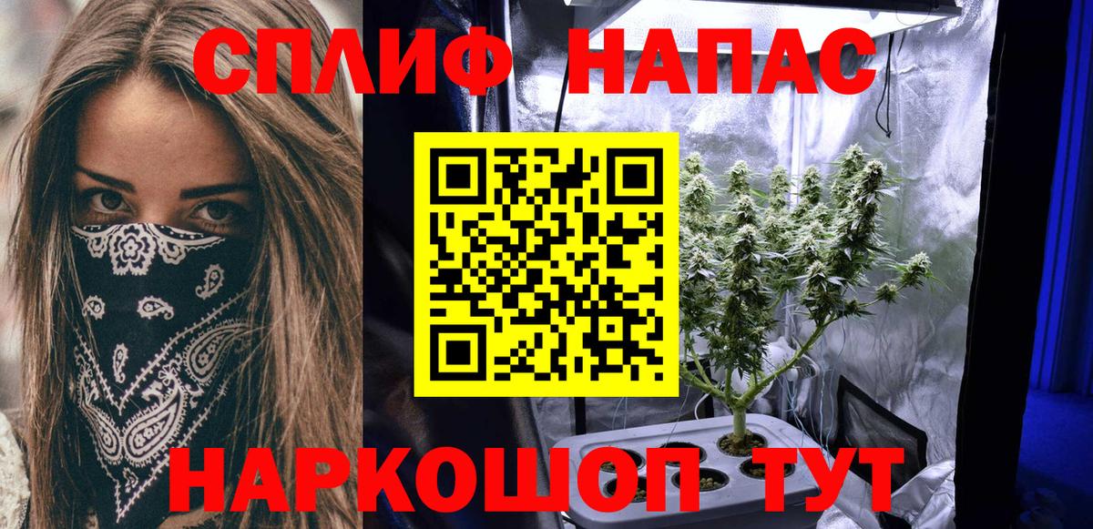 Конопля White Widow Санкт-Петербург